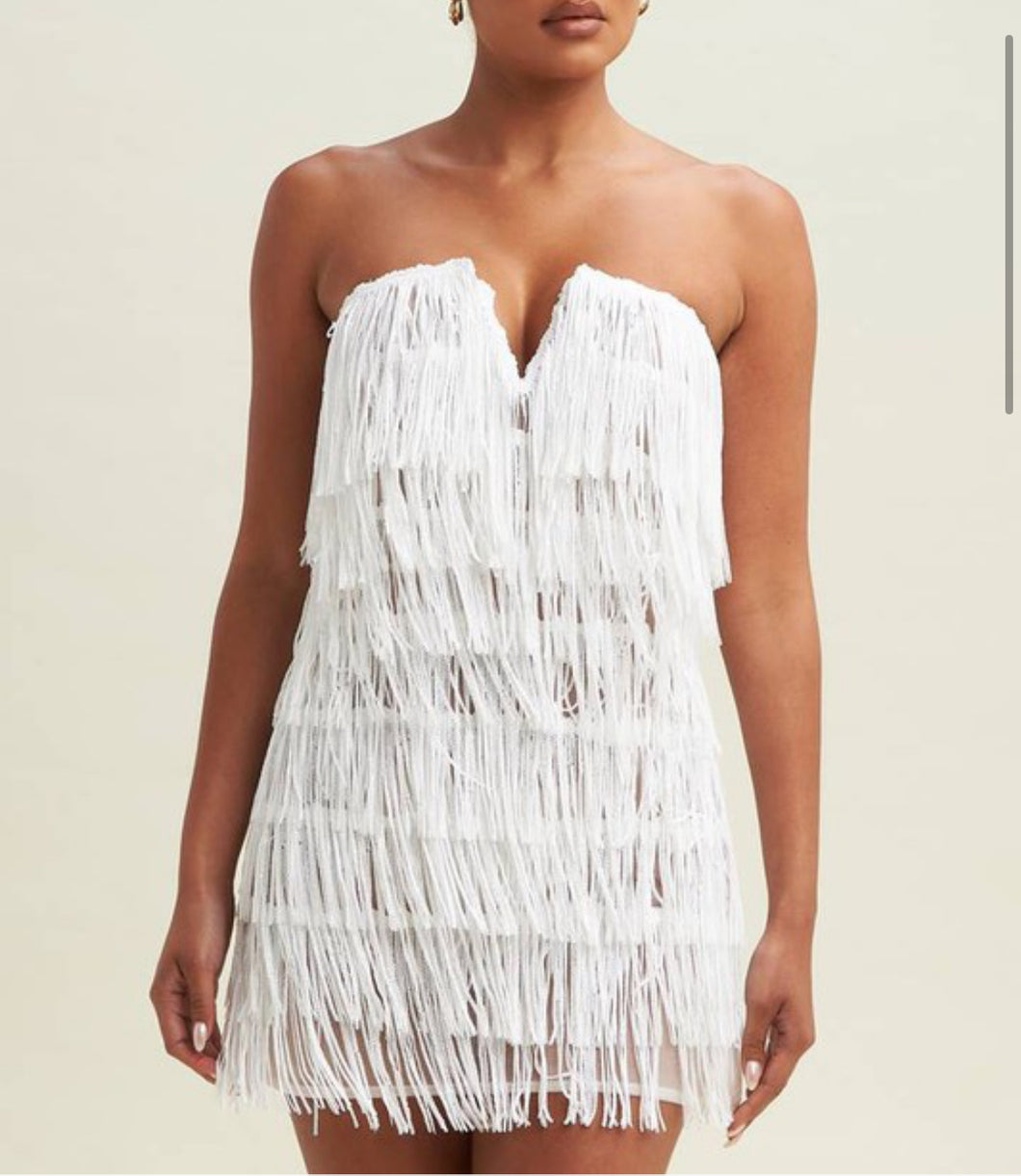 Sequin Fringe Mini Dress