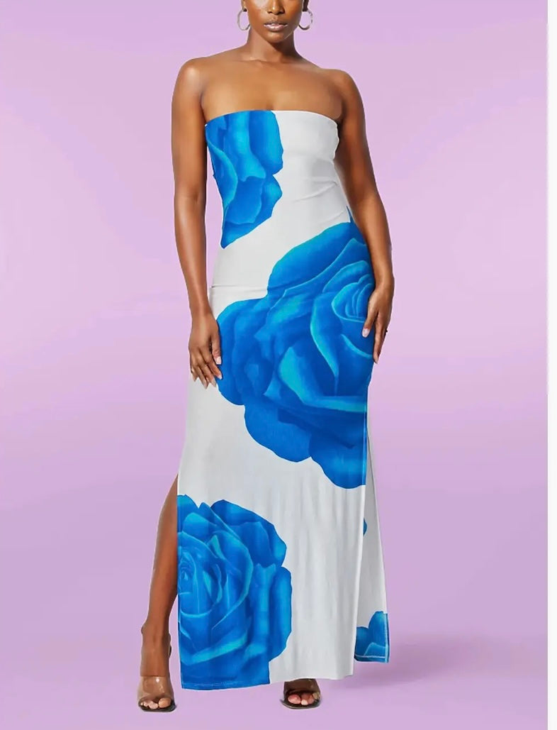 Rosa Strapless Tube Floral Maxi Dress